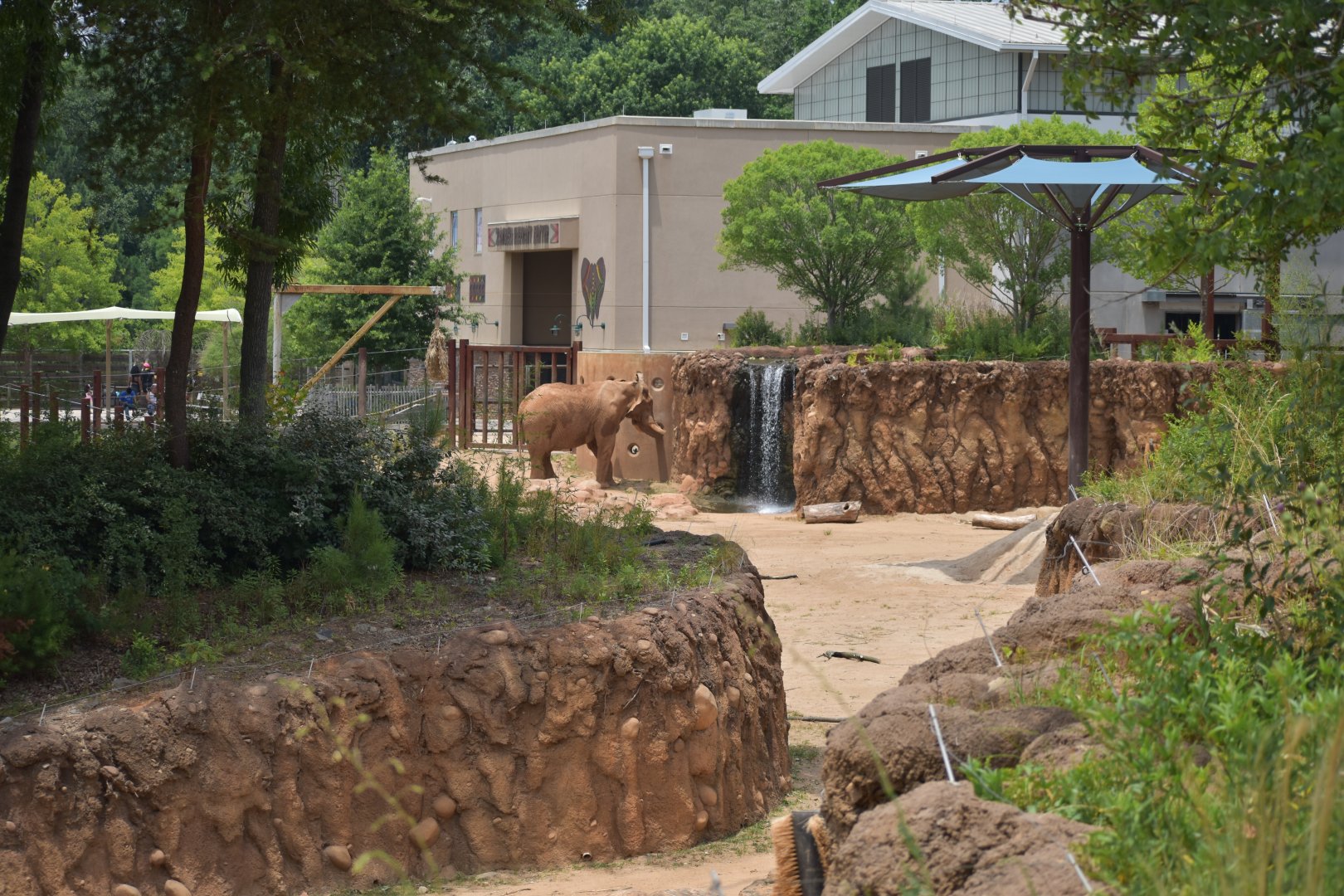African Elephant Enrichment