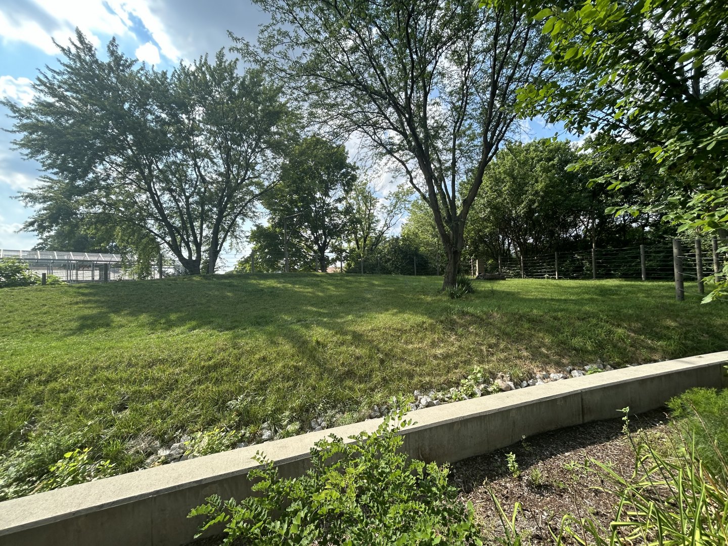 African Elephant Exhibit #1 - Plains