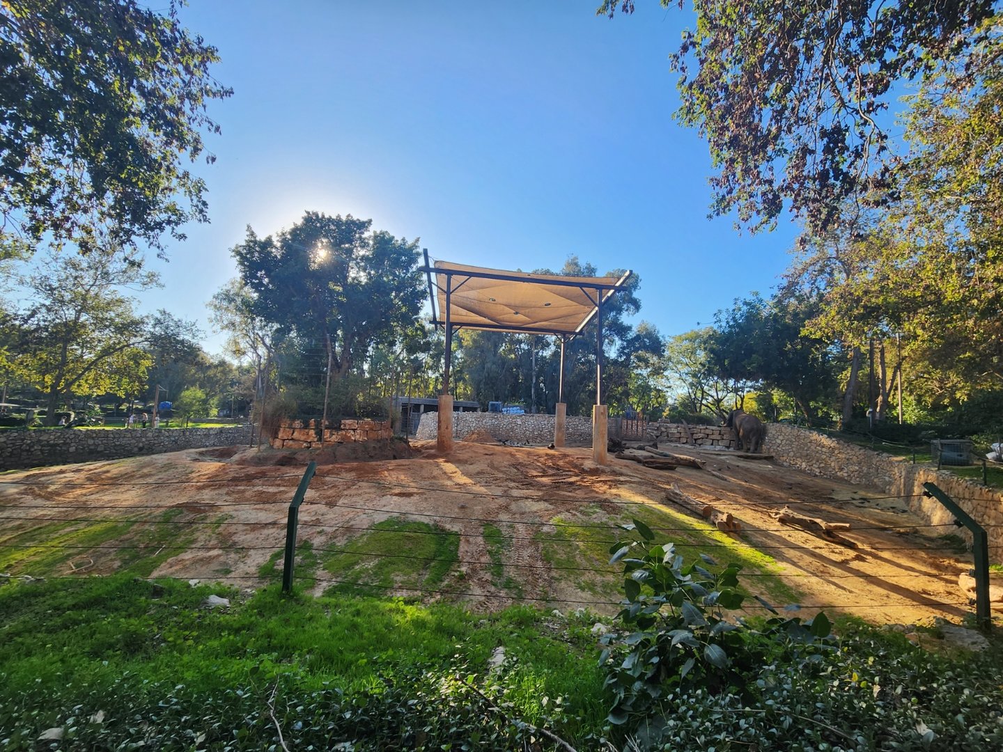 African Elephant Exhibit #1