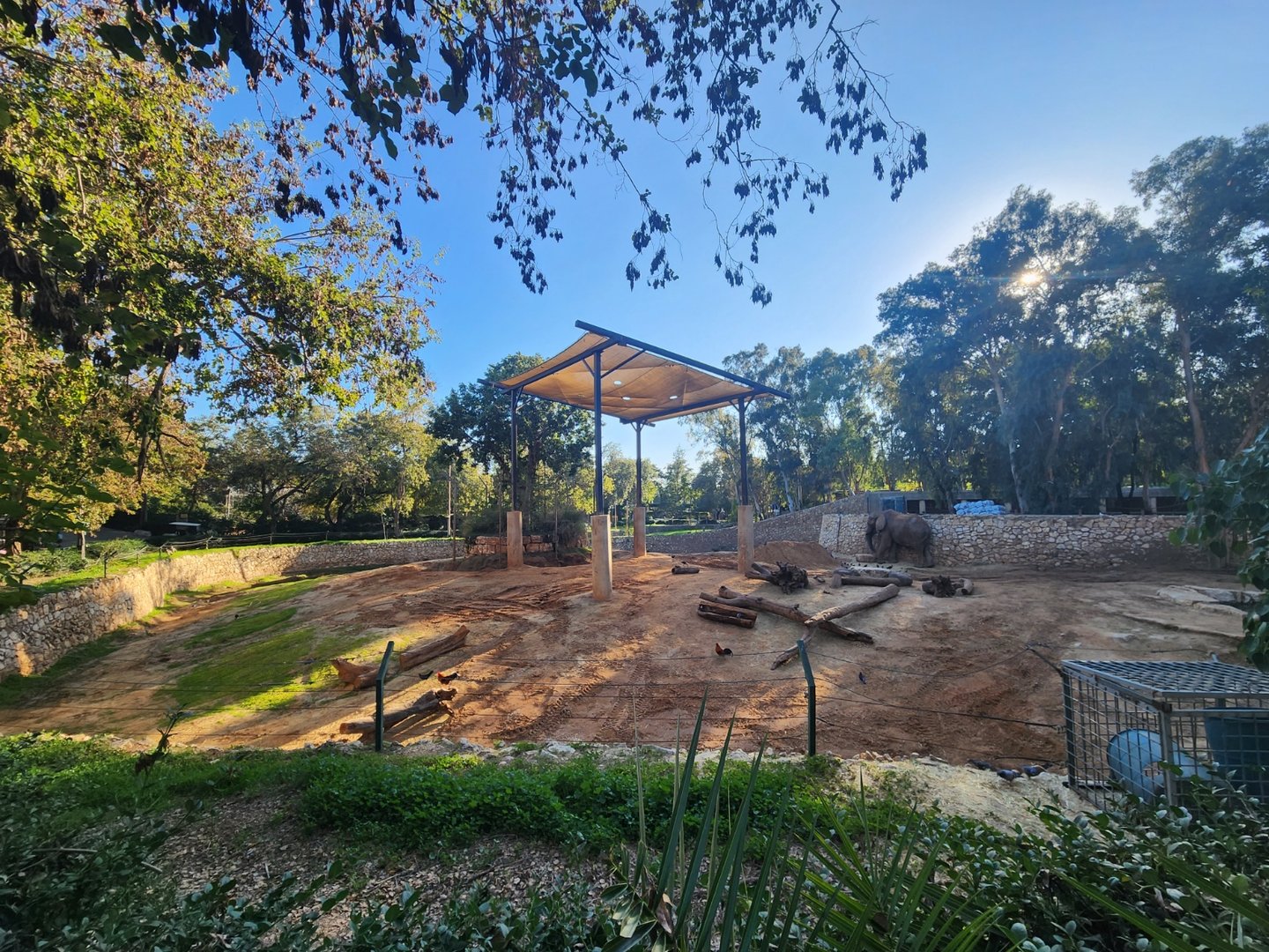 African Elephant Exhibit #1