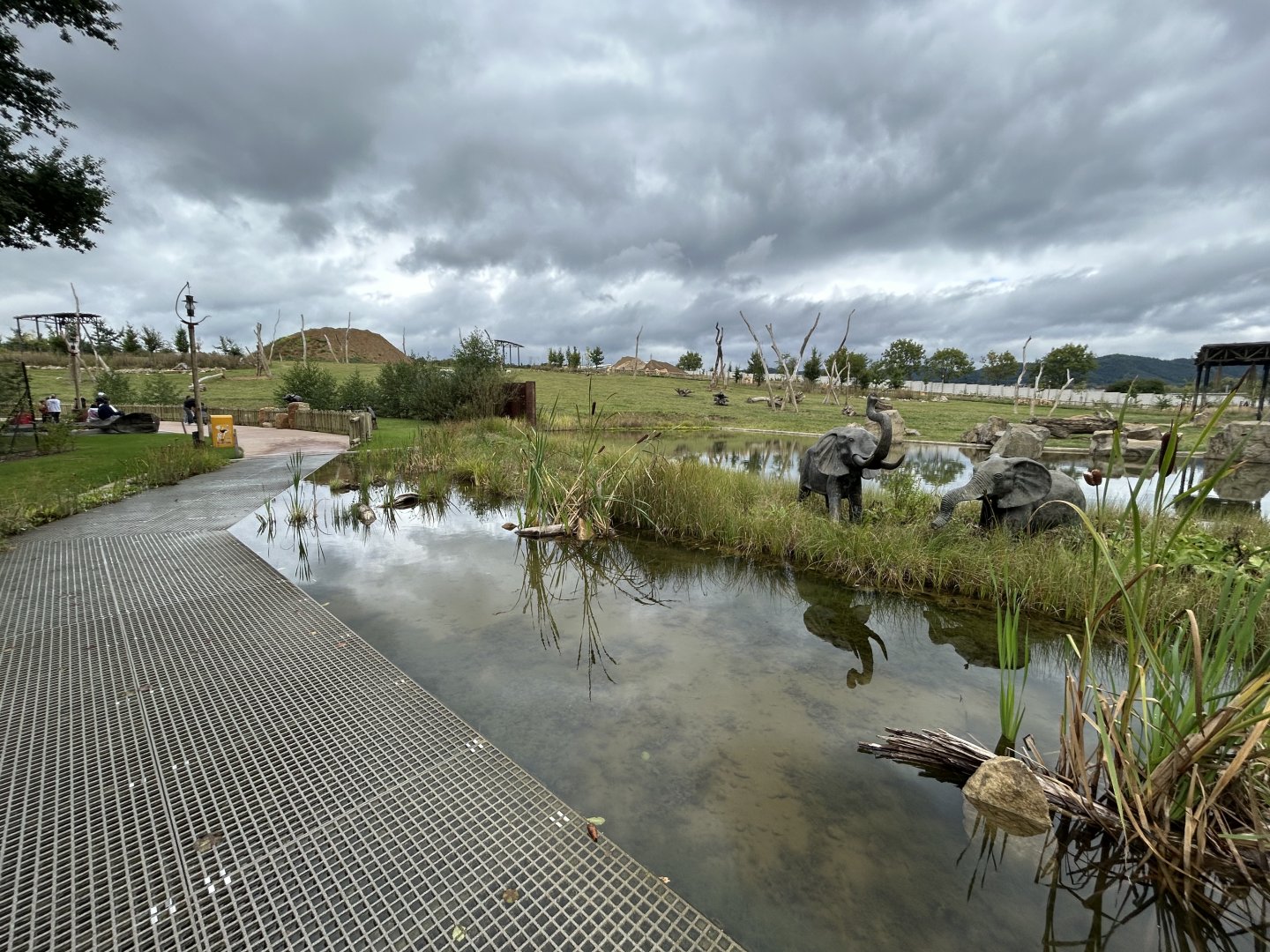 African Elephant Exhibit #1