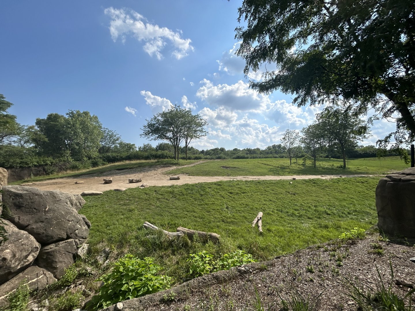 African Elephant Exhibit #2 - Plains