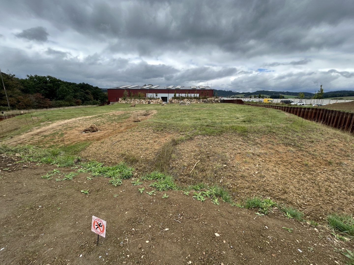 African Elephant Exhibit #2