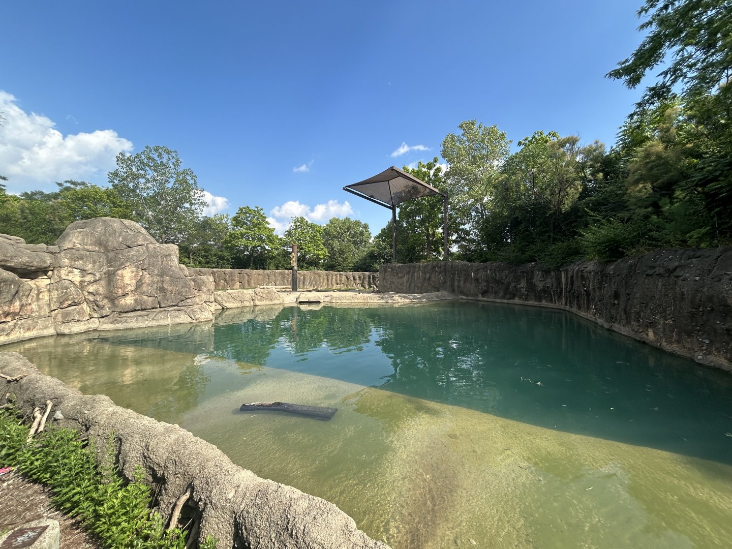 African Elephant Exhibit #3 - Plains