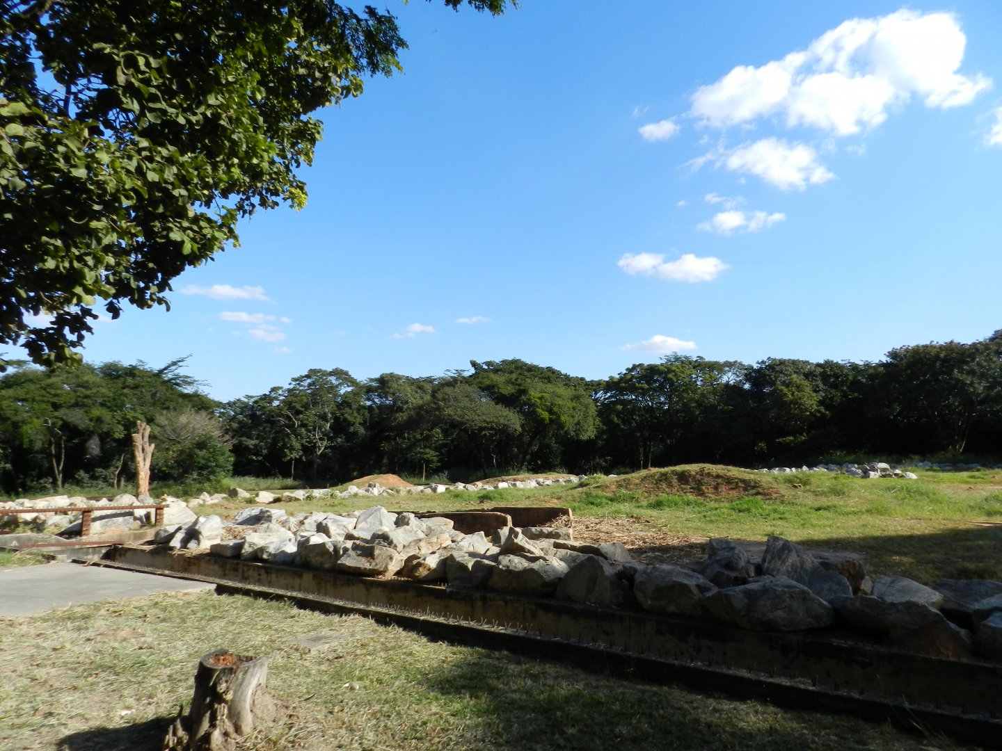 African elephant exhibit - Belo Horizonte zoo