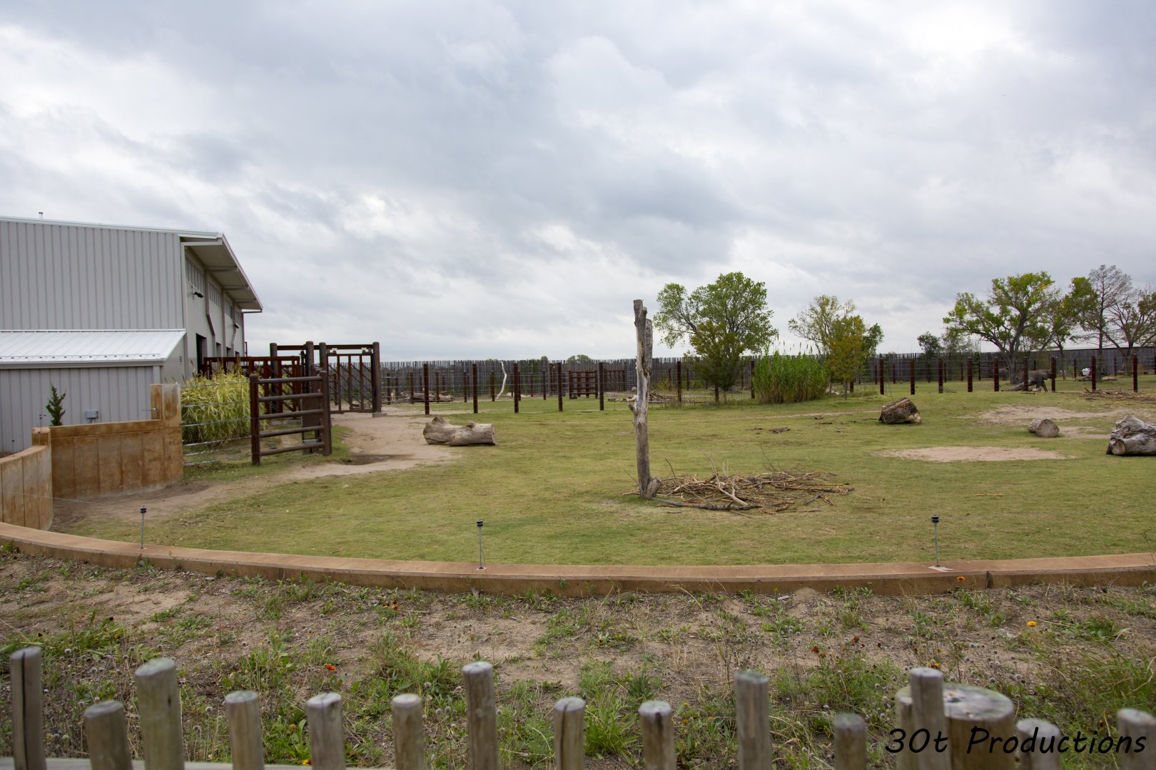 African Elephant Exhibit First Yard