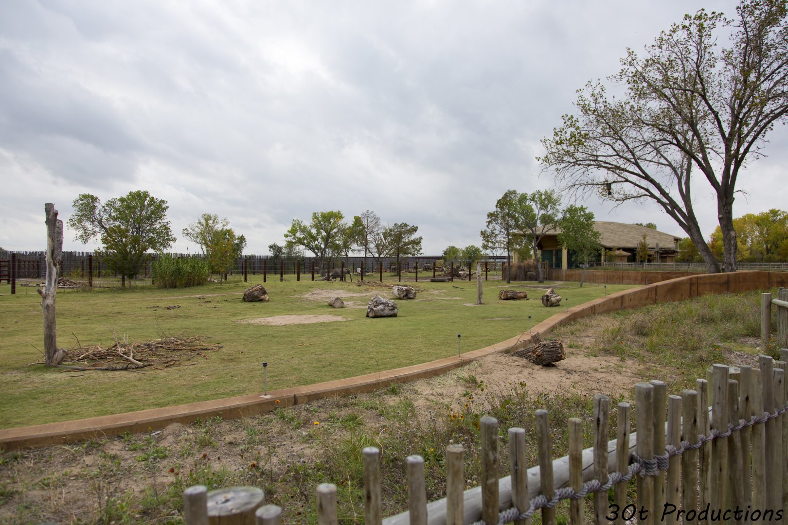 African Elephant Exhibit First Yard