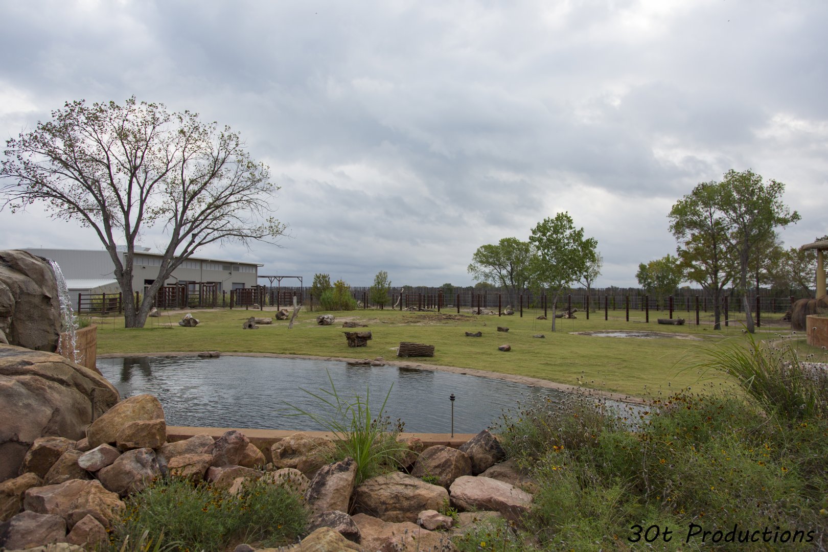 African Elephant Exhibit First Yard