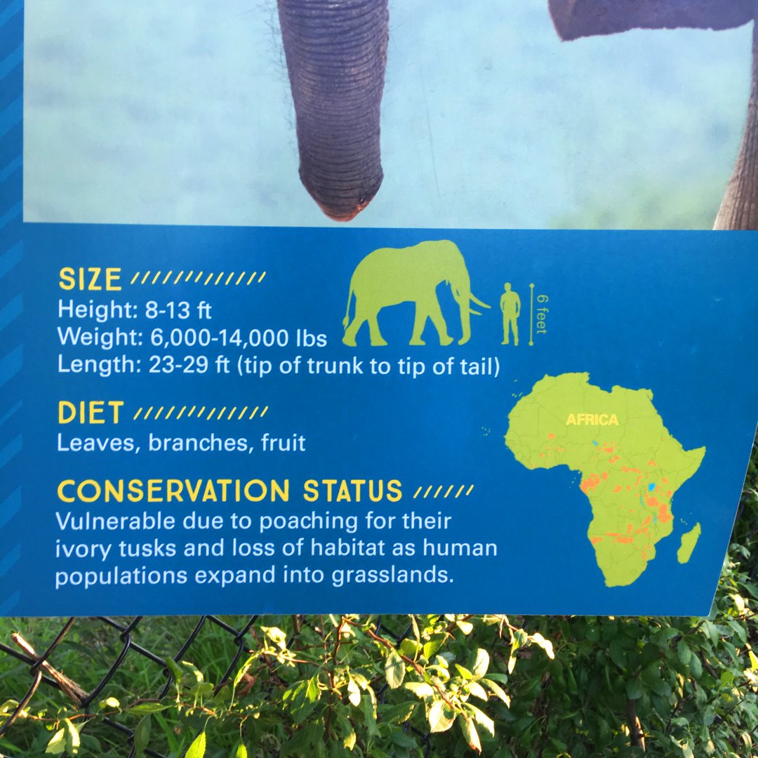 African Elephant Exhibit Label