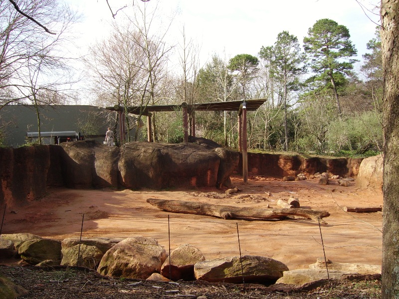 African Elephant Exhibit - Masai Mara
