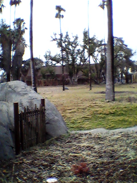 African elephant exhibit overlook