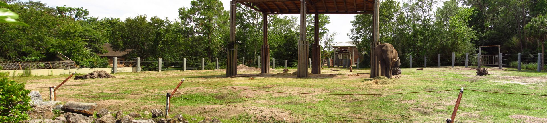 African Elephant Exhibit Panoramic 2021