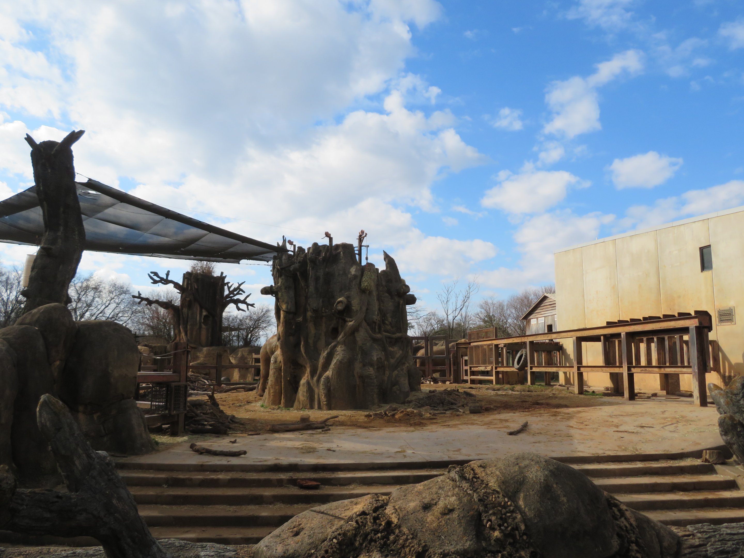 African Elephant Exhibit (Part)