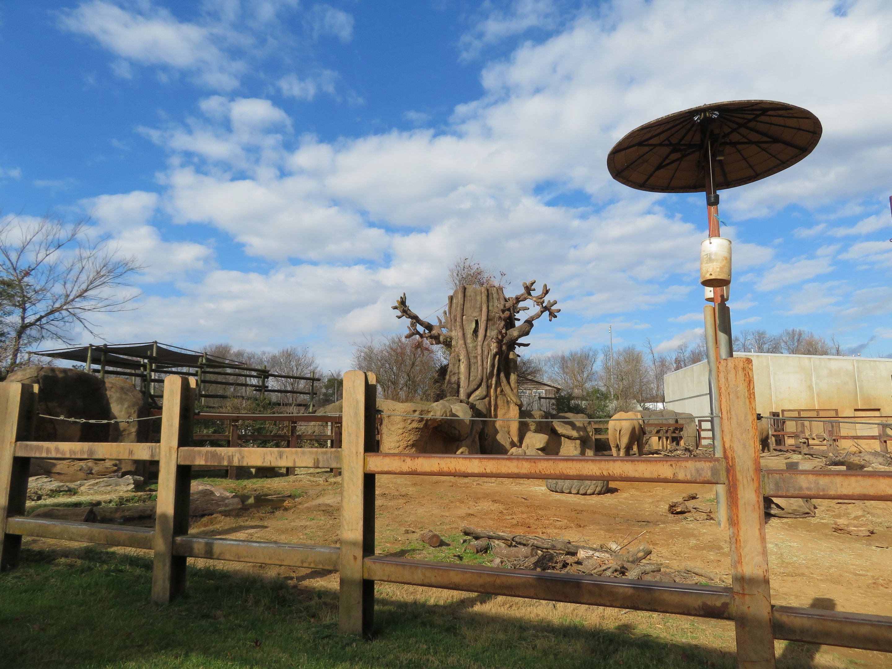 African Elephant Exhibit (Part)
