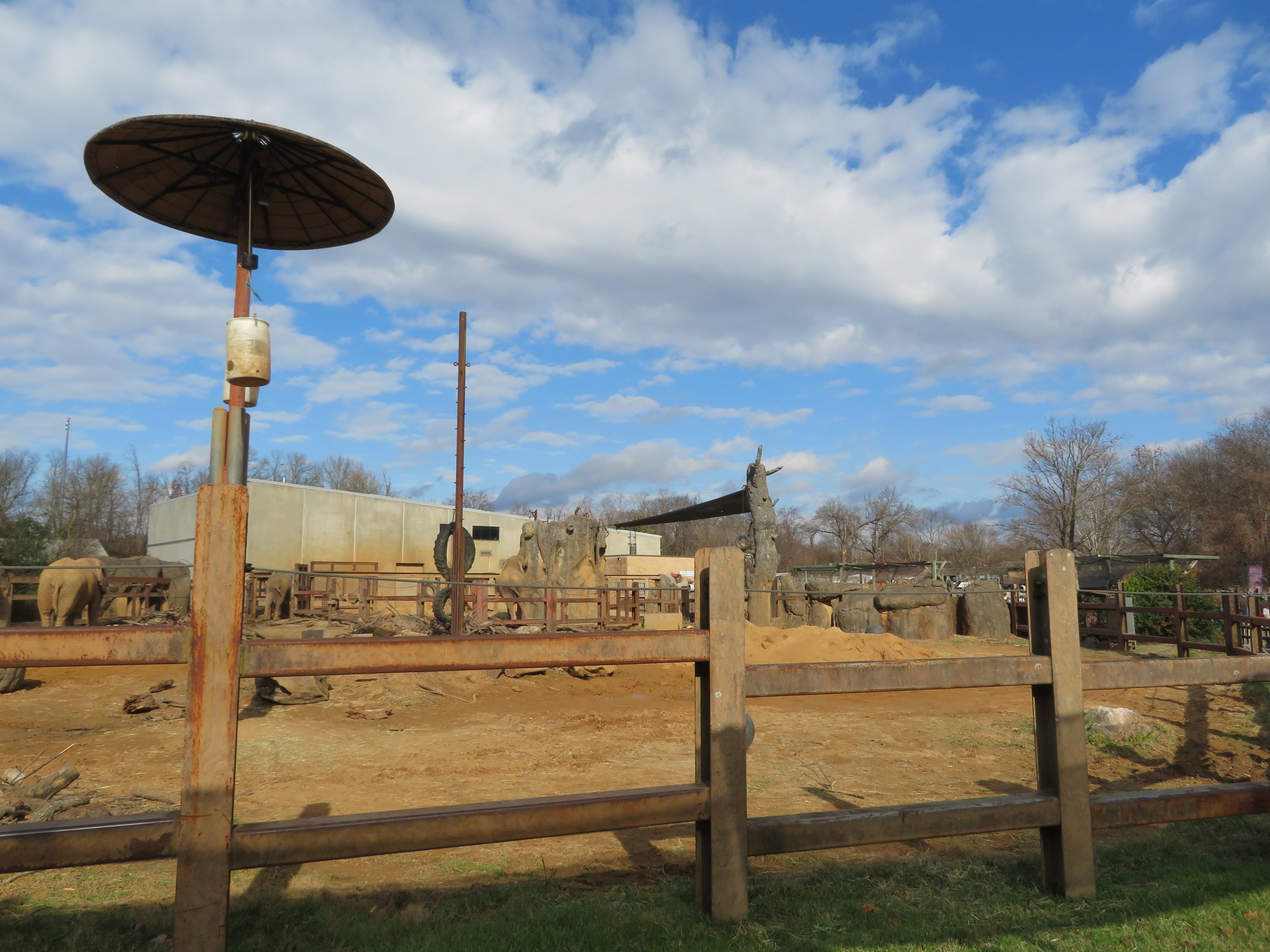 African Elephant Exhibit (Part)