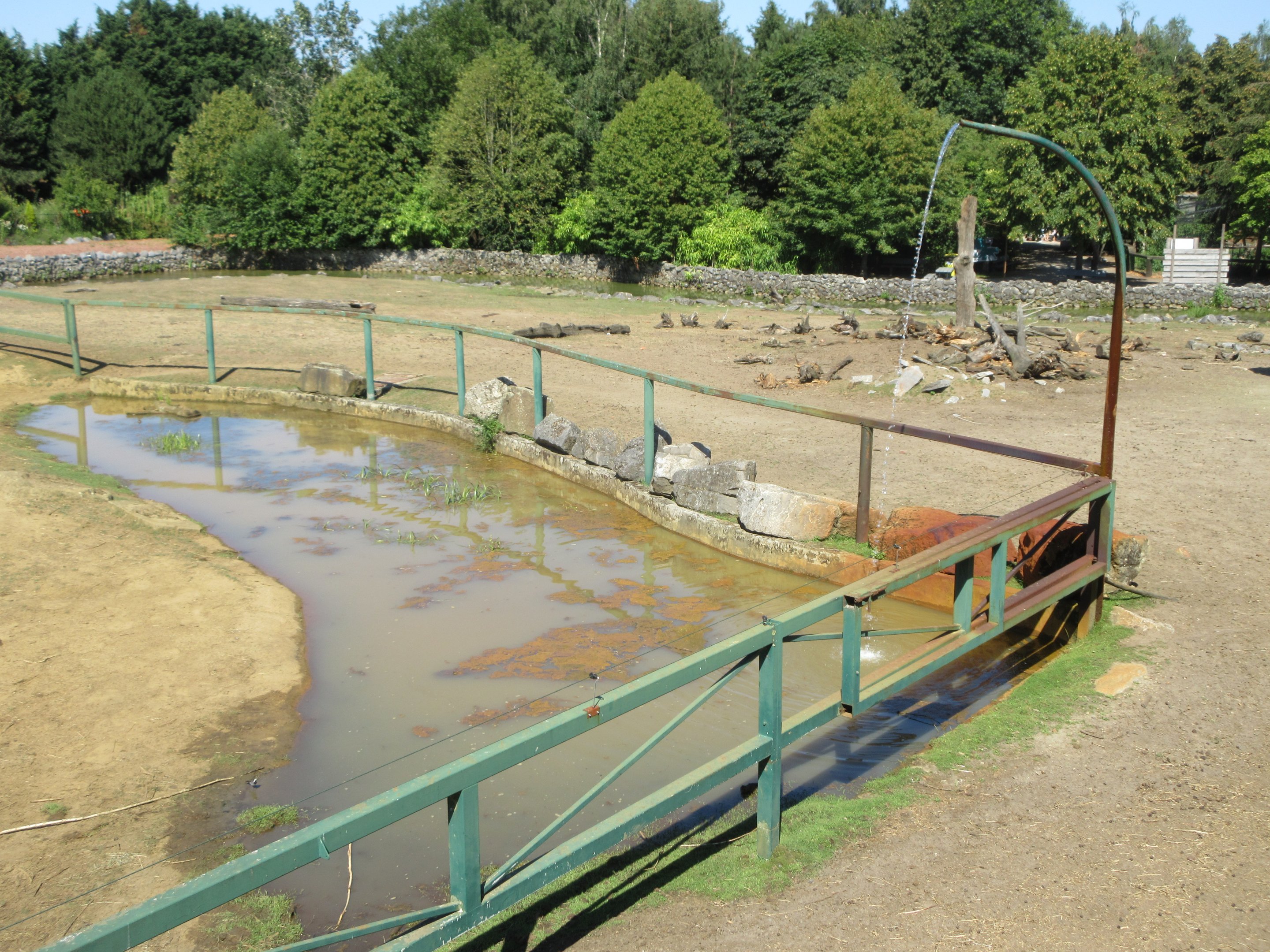 African Elephant Exhibit  - Pool