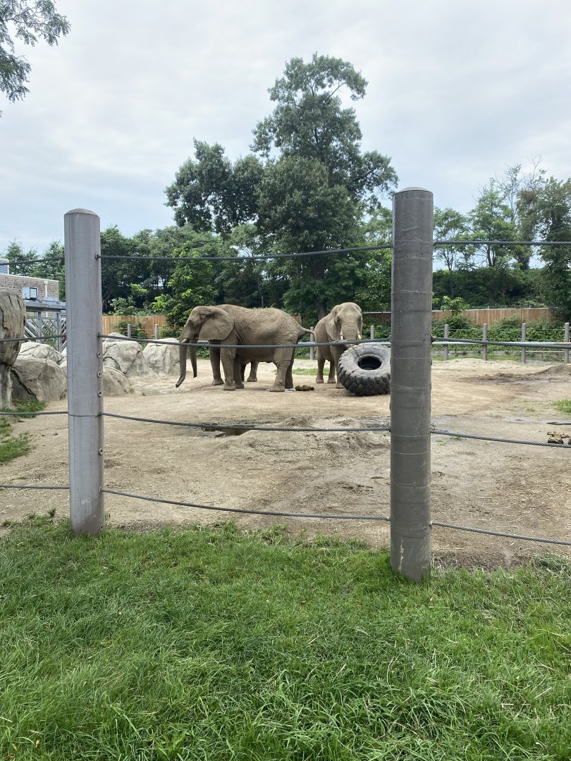 African Elephant Exhibit - Roger Williams Park Zoo