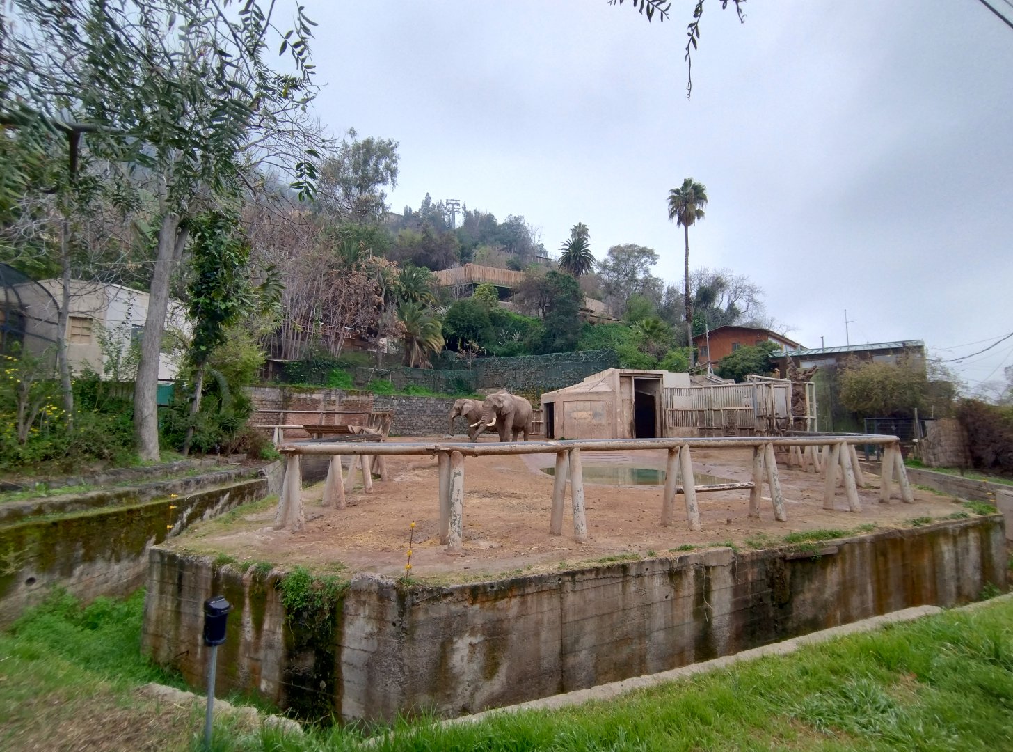 African elephant exhibit - Santiago Zoo (Zoologico nacional)