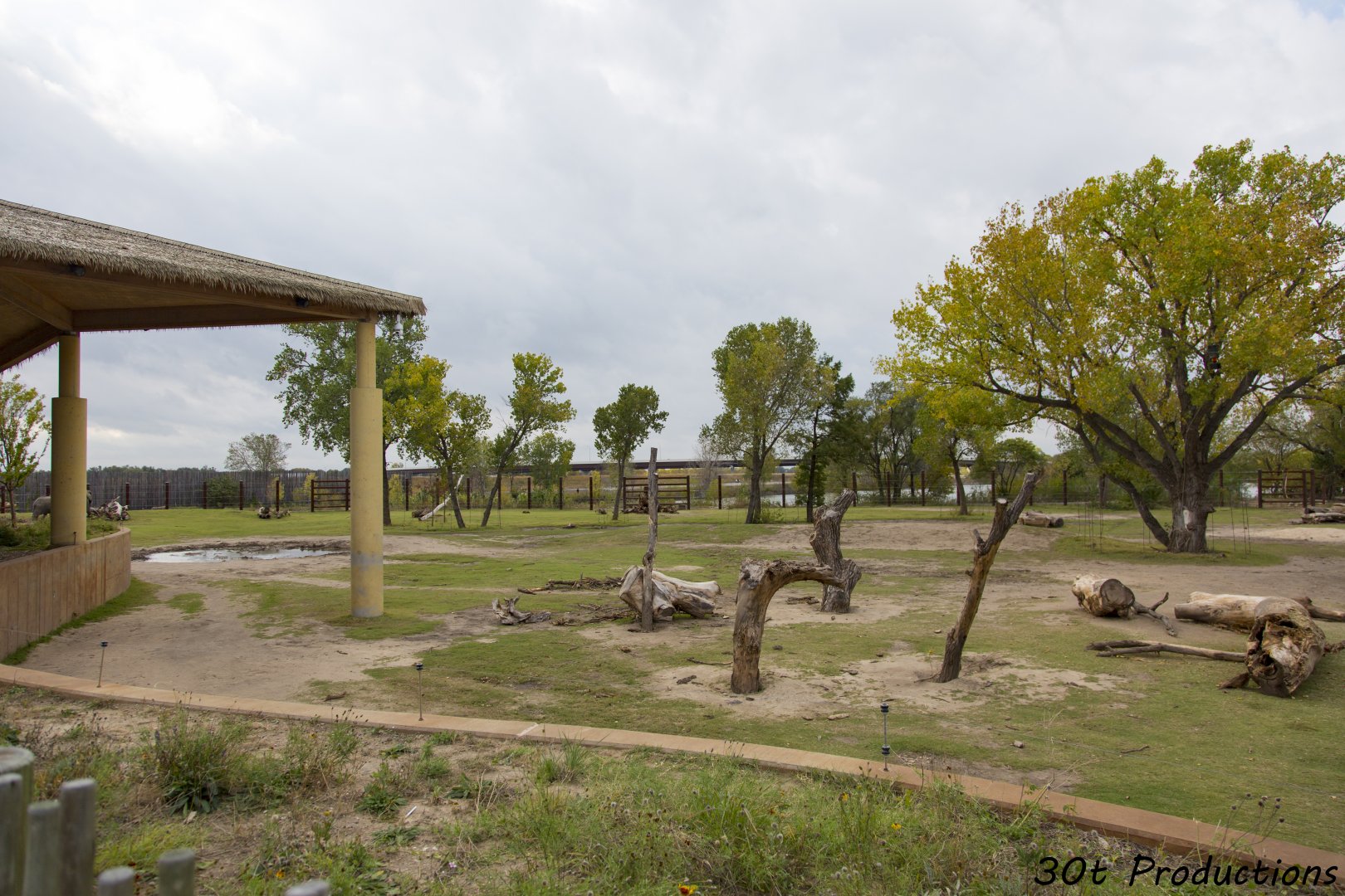 African Elephant Exhibit Second Yard