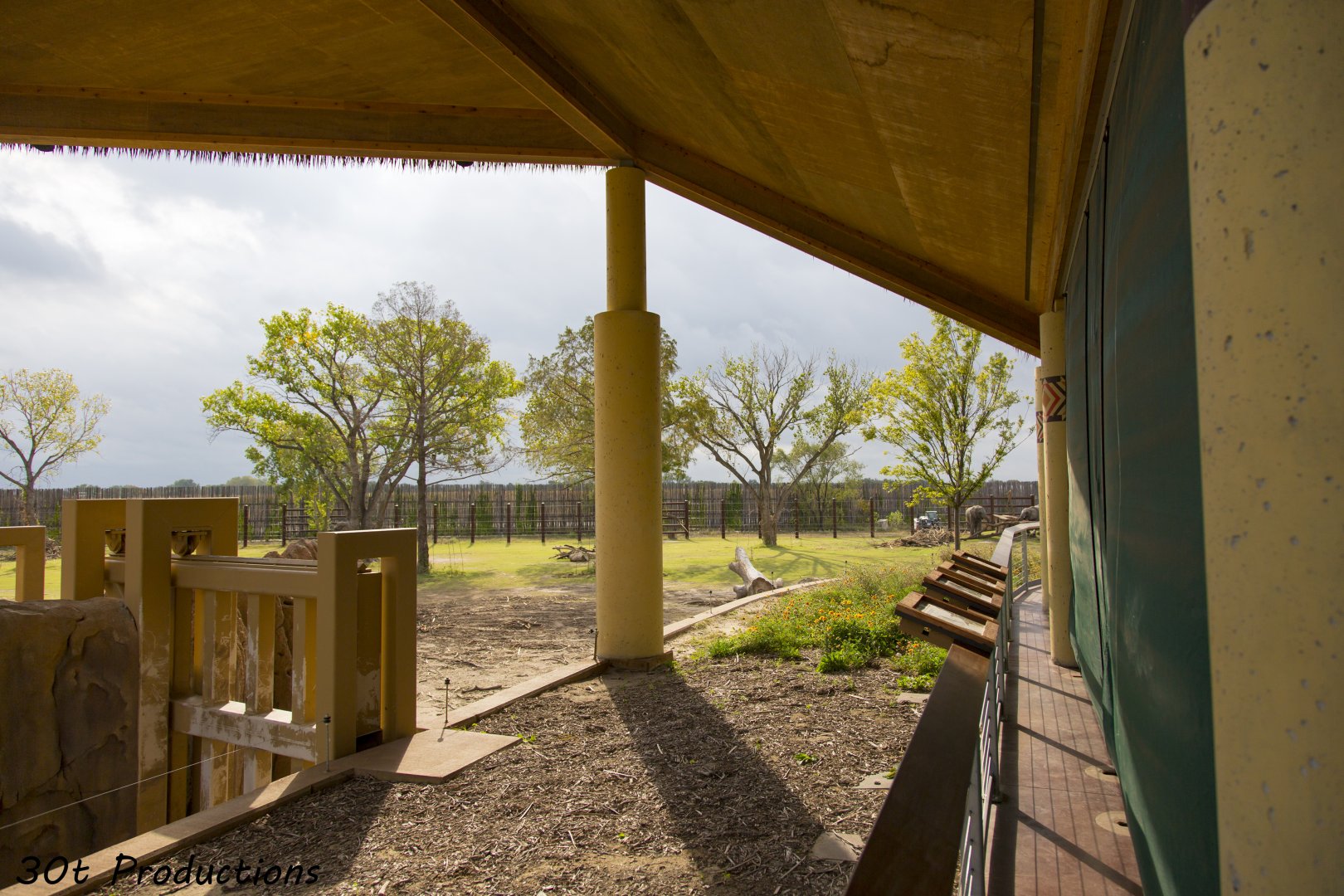 African Elephant Exhibit Second Yard