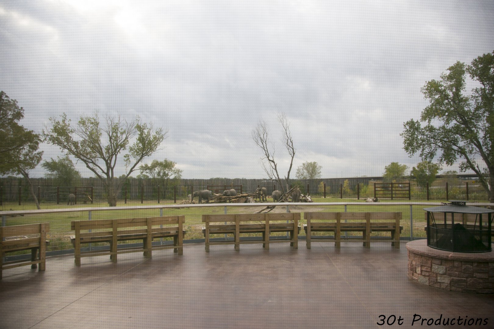 African Elephant Exhibit Second Yard