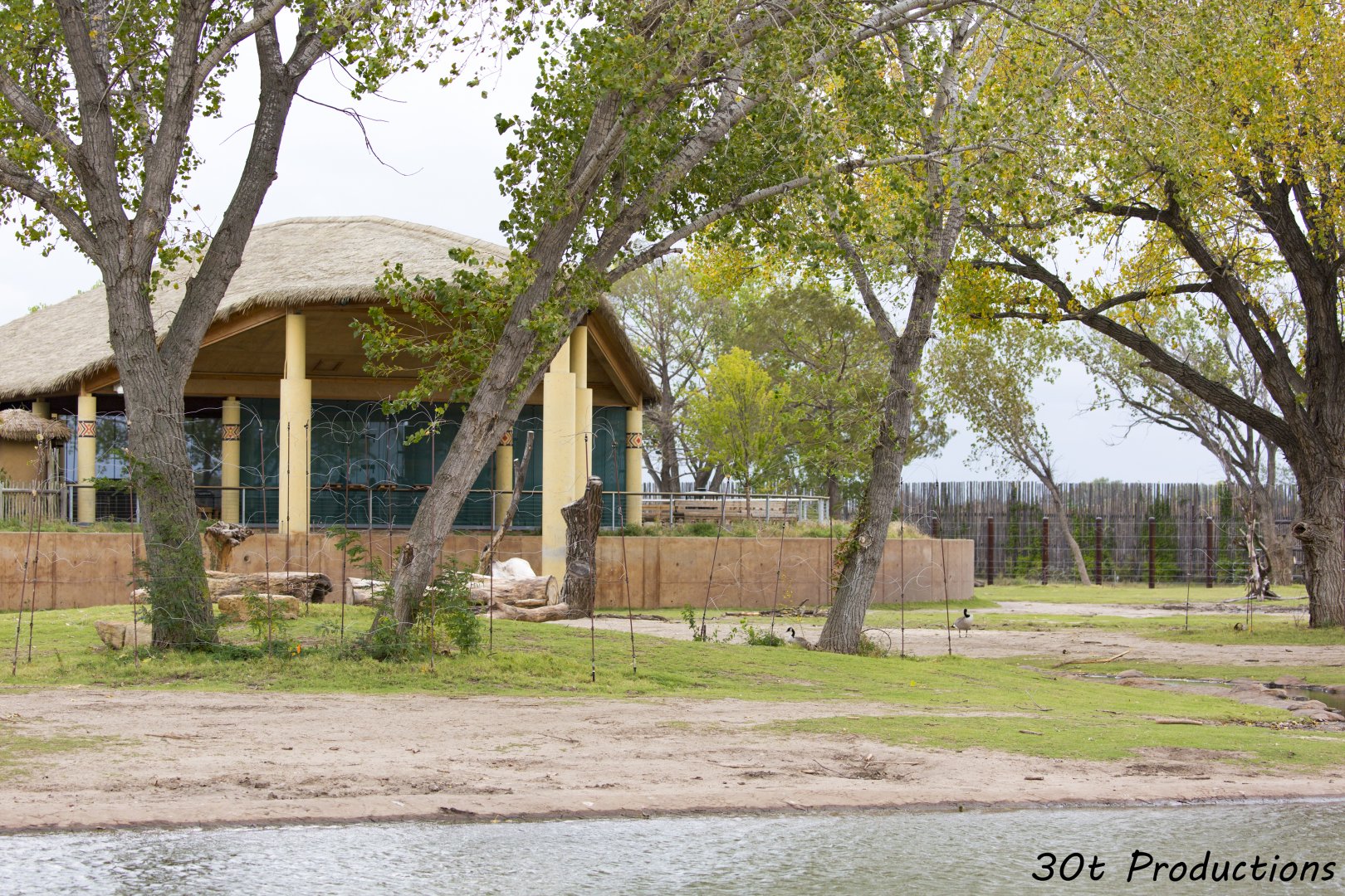 African Elephant Exhibit Second Yard