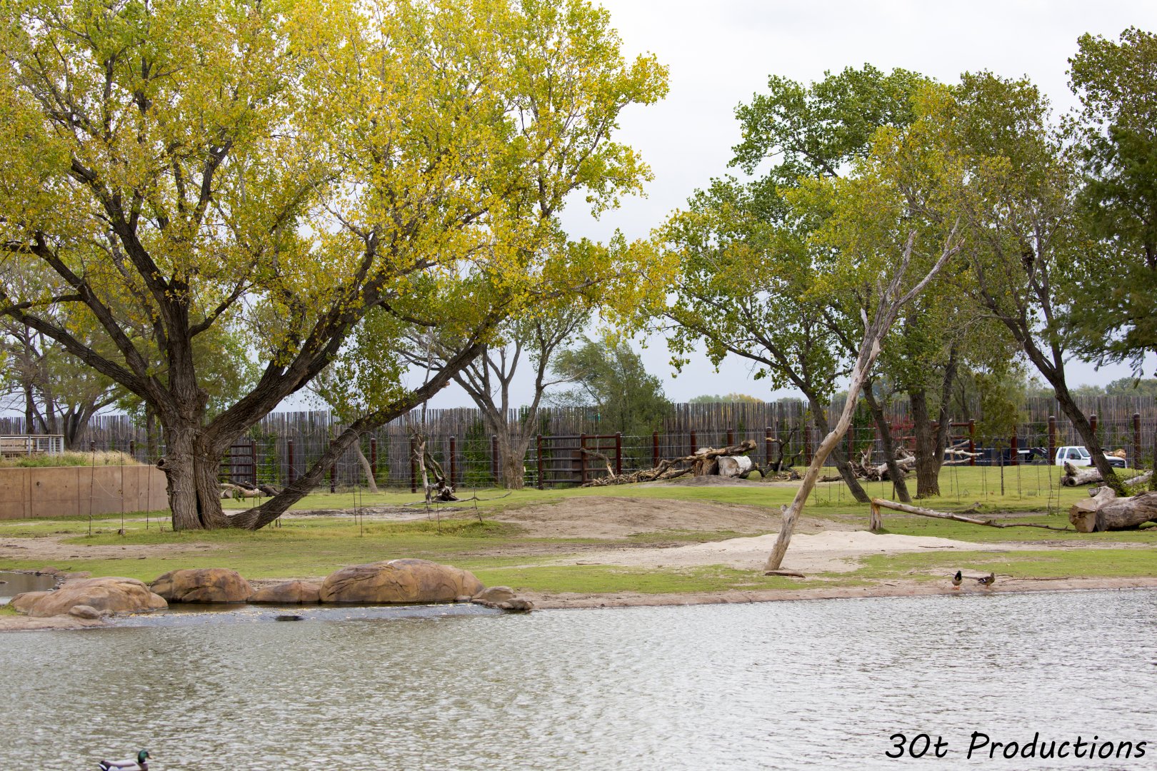 African Elephant Exhibit Second Yard