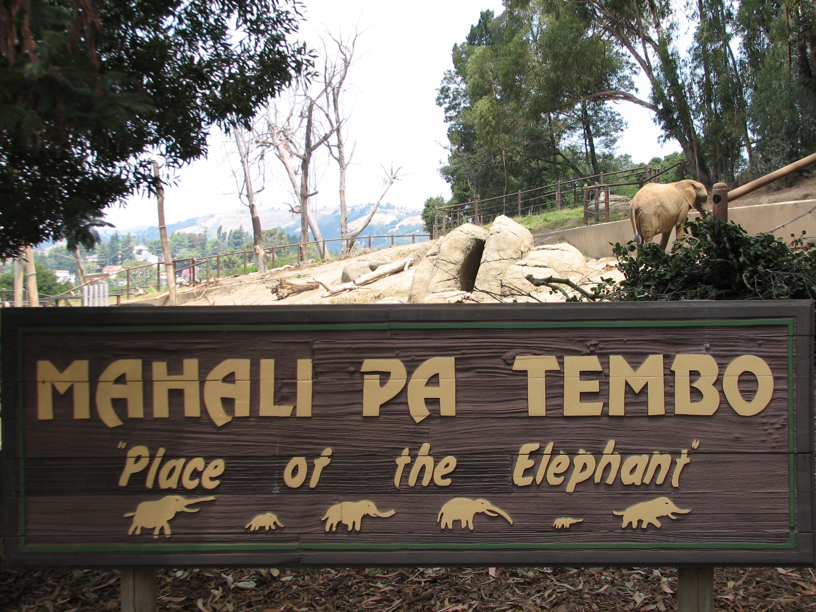 African Elephant Exhibit - Sign