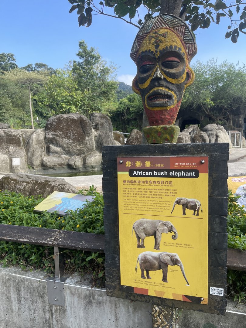 African Elephant Exhibit , Taipei Zoo