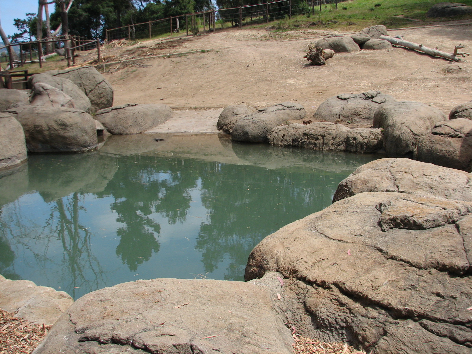 African Elephant Exhibit