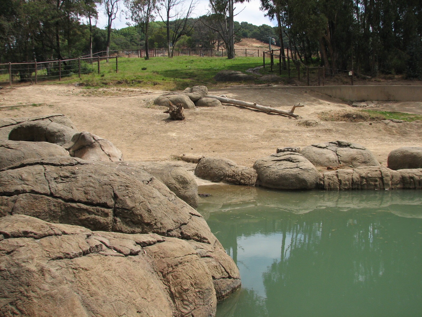 African Elephant Exhibit