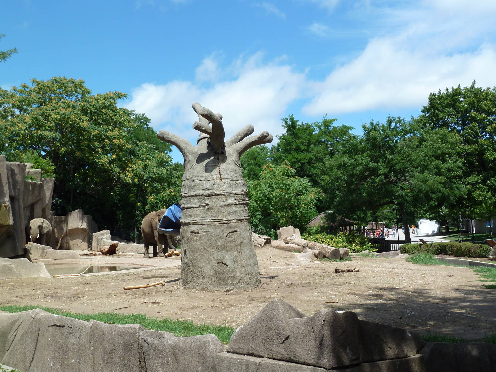 African Elephant Exhibit