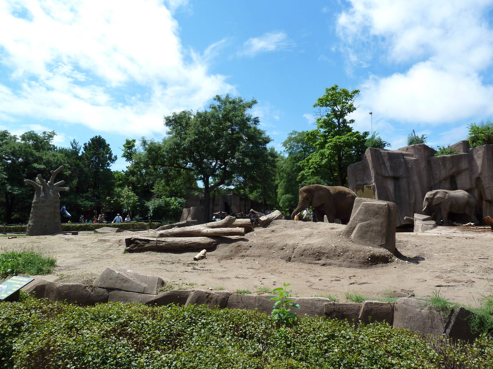 African Elephant Exhibit