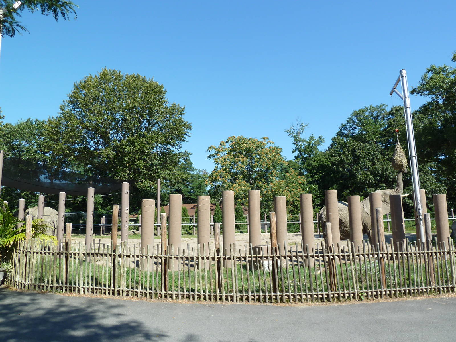 African Elephant Exhibit