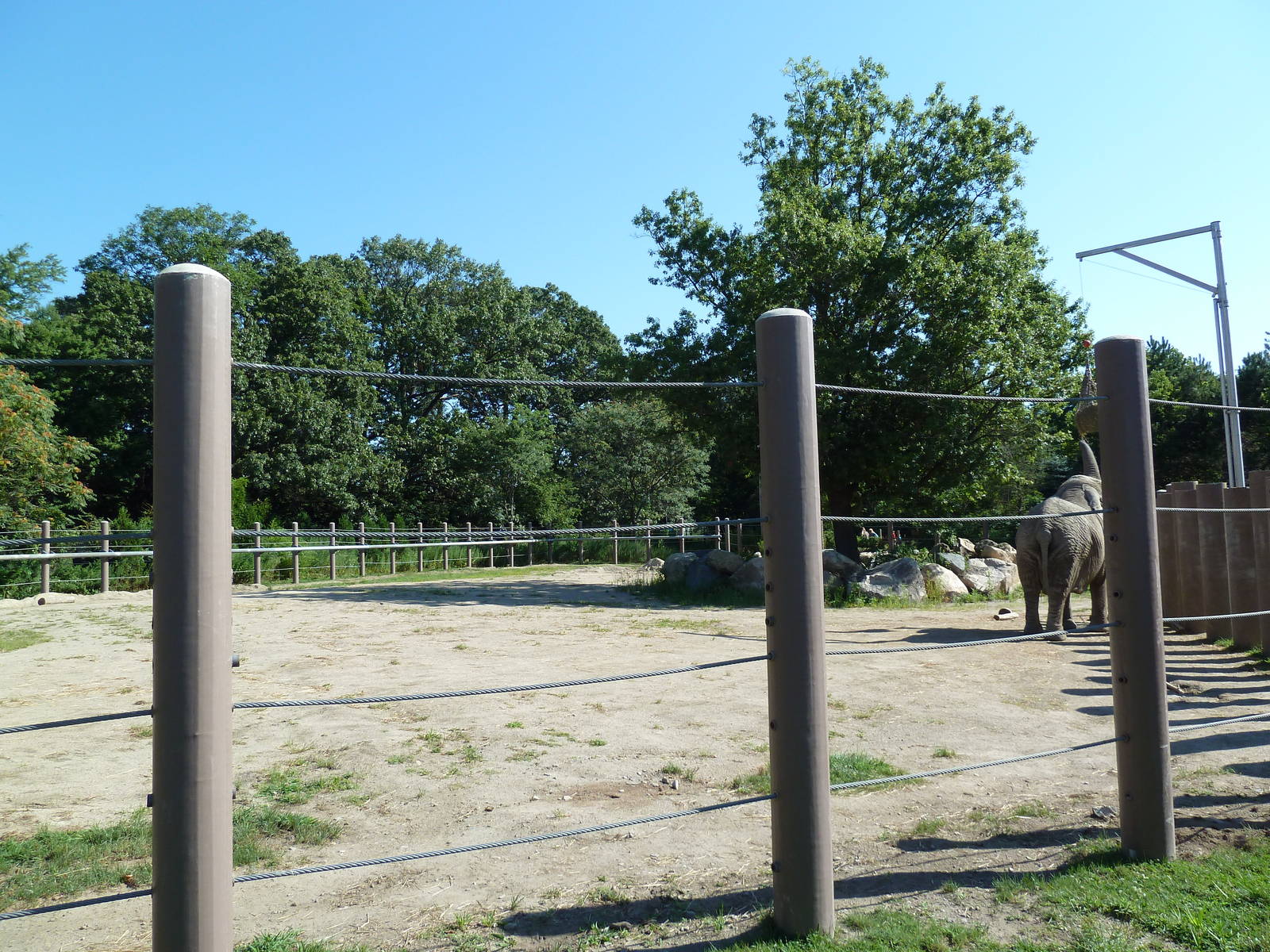 African Elephant Exhibit