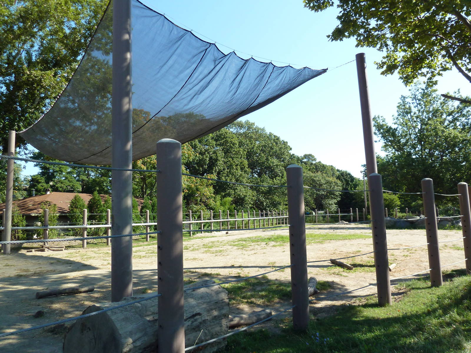 African Elephant Exhibit