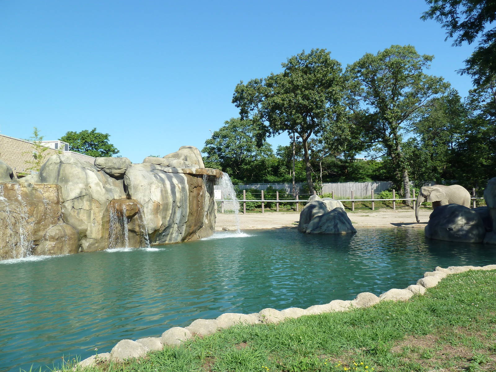 African Elephant Exhibit