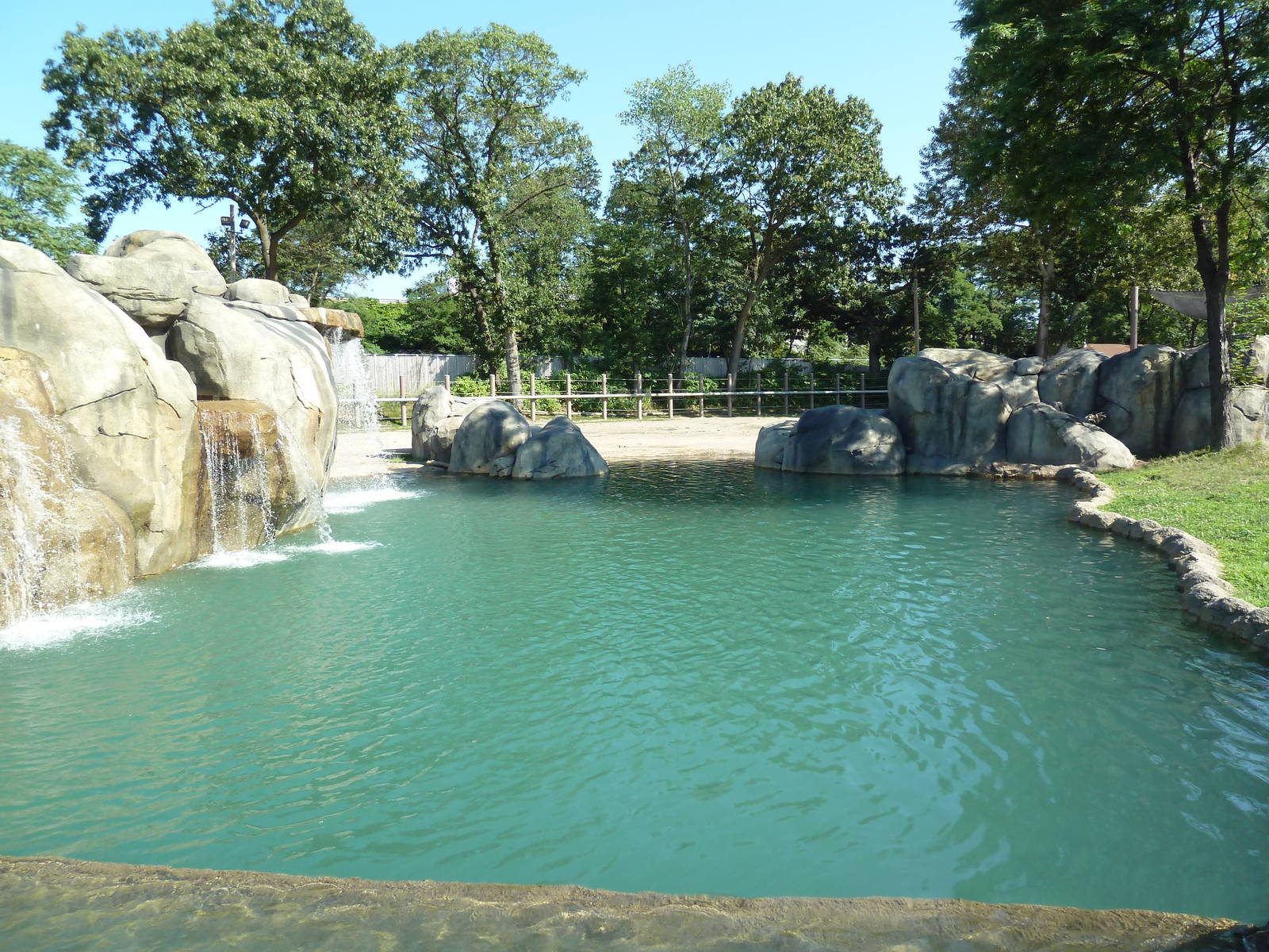 African Elephant Exhibit