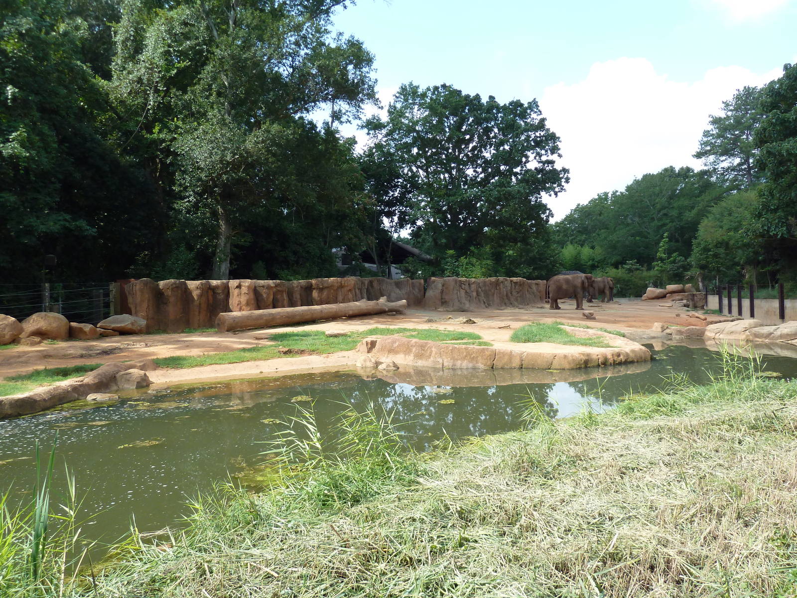 African Elephant Exhibit