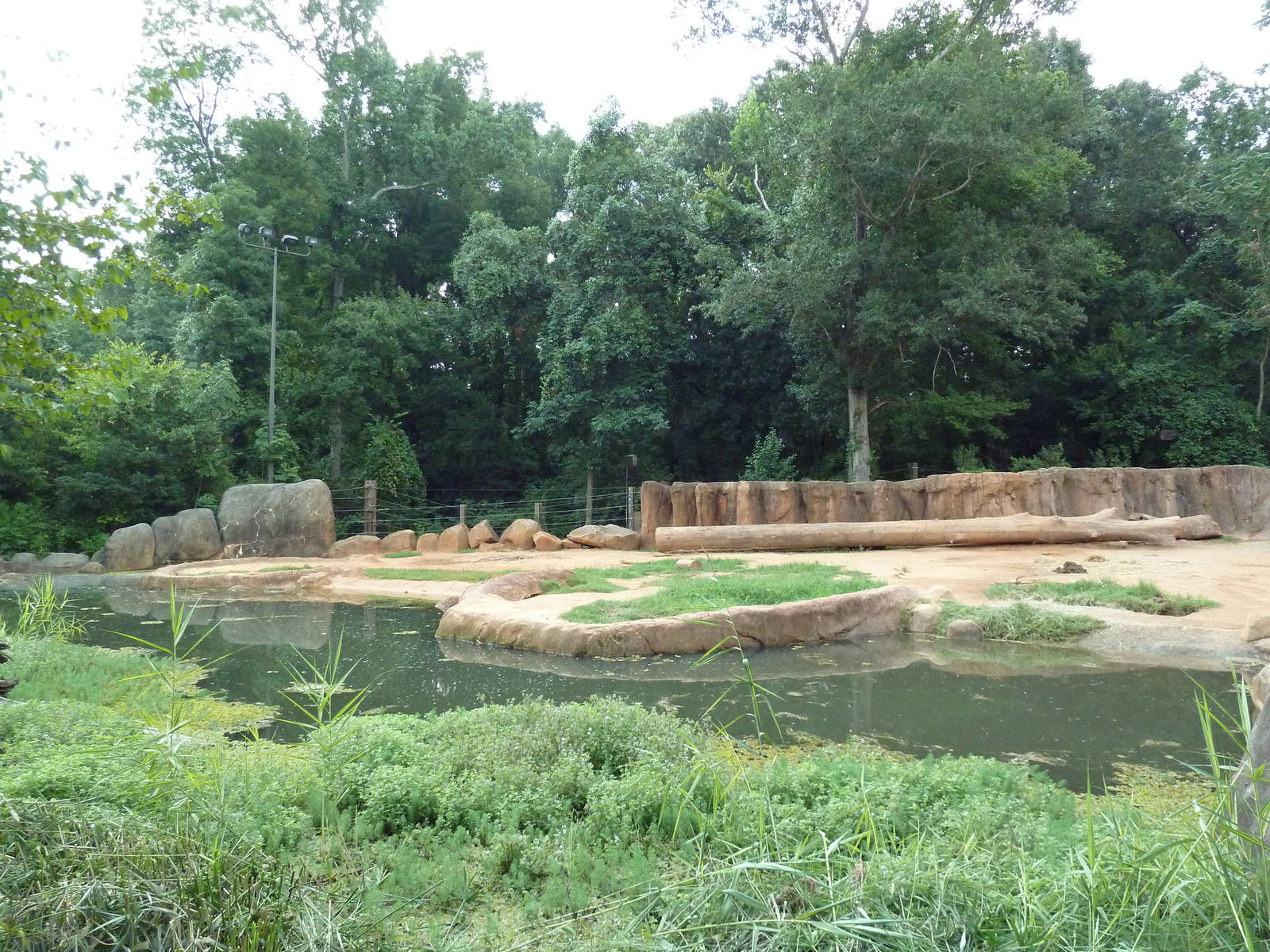 African Elephant Exhibit