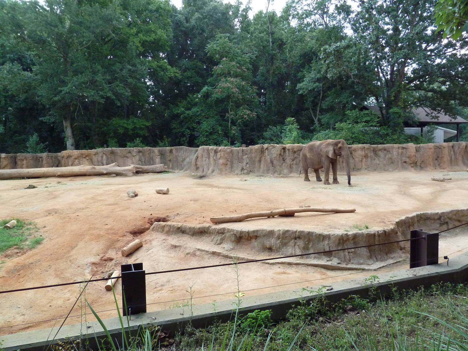 African Elephant Exhibit