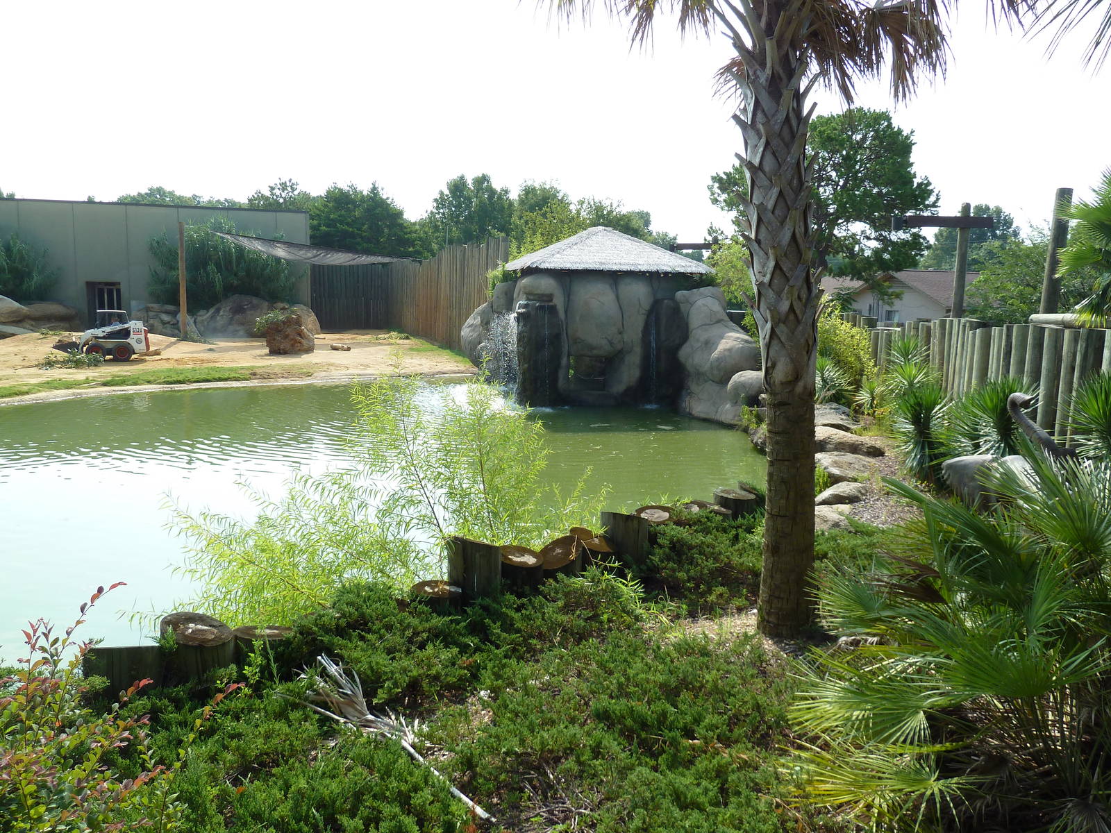 African Elephant Exhibit