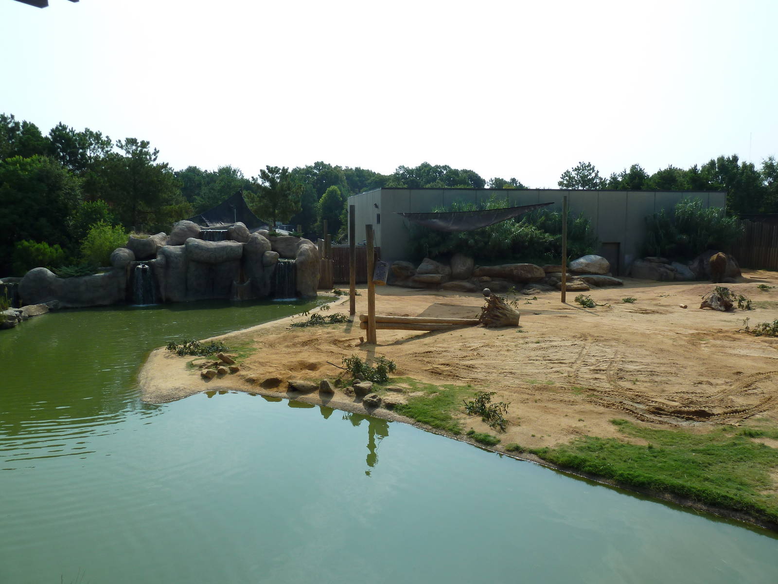 African Elephant Exhibit