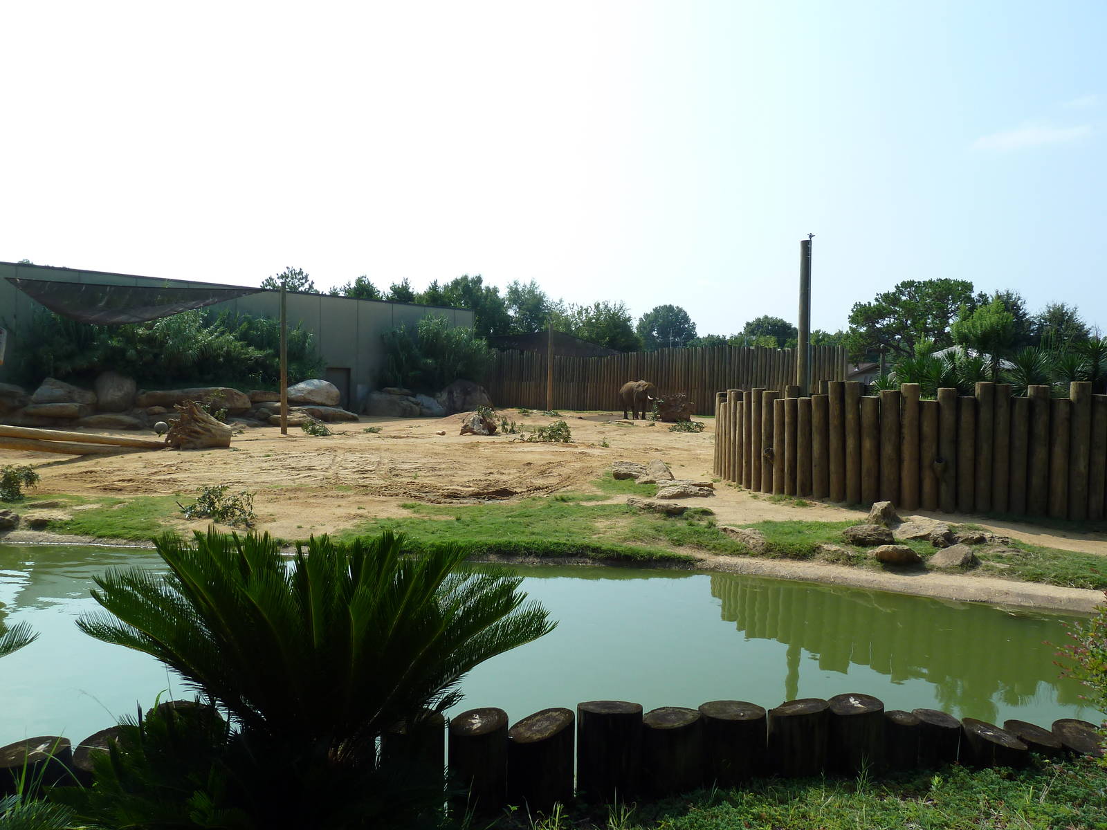 African Elephant Exhibit