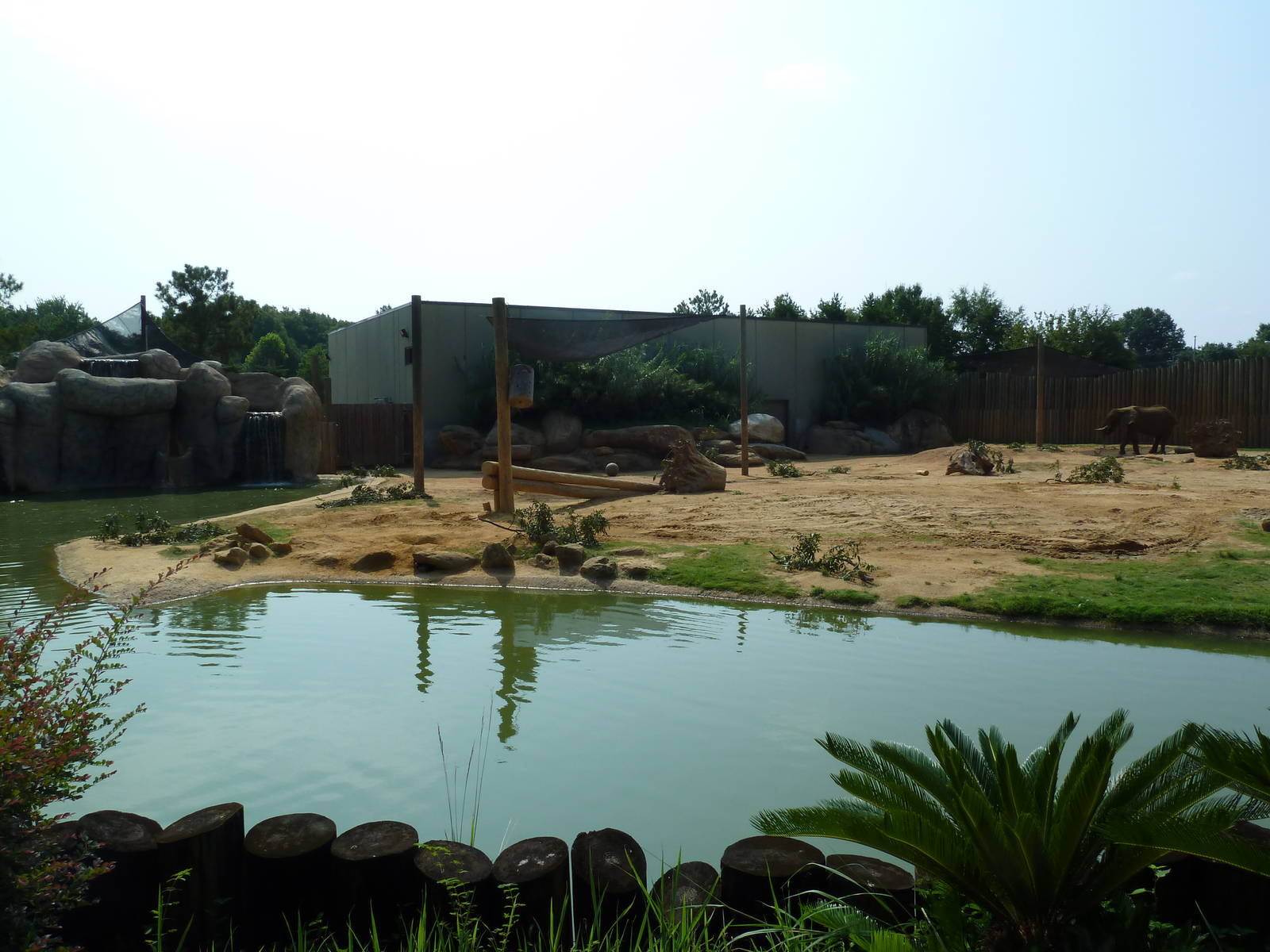 African Elephant Exhibit