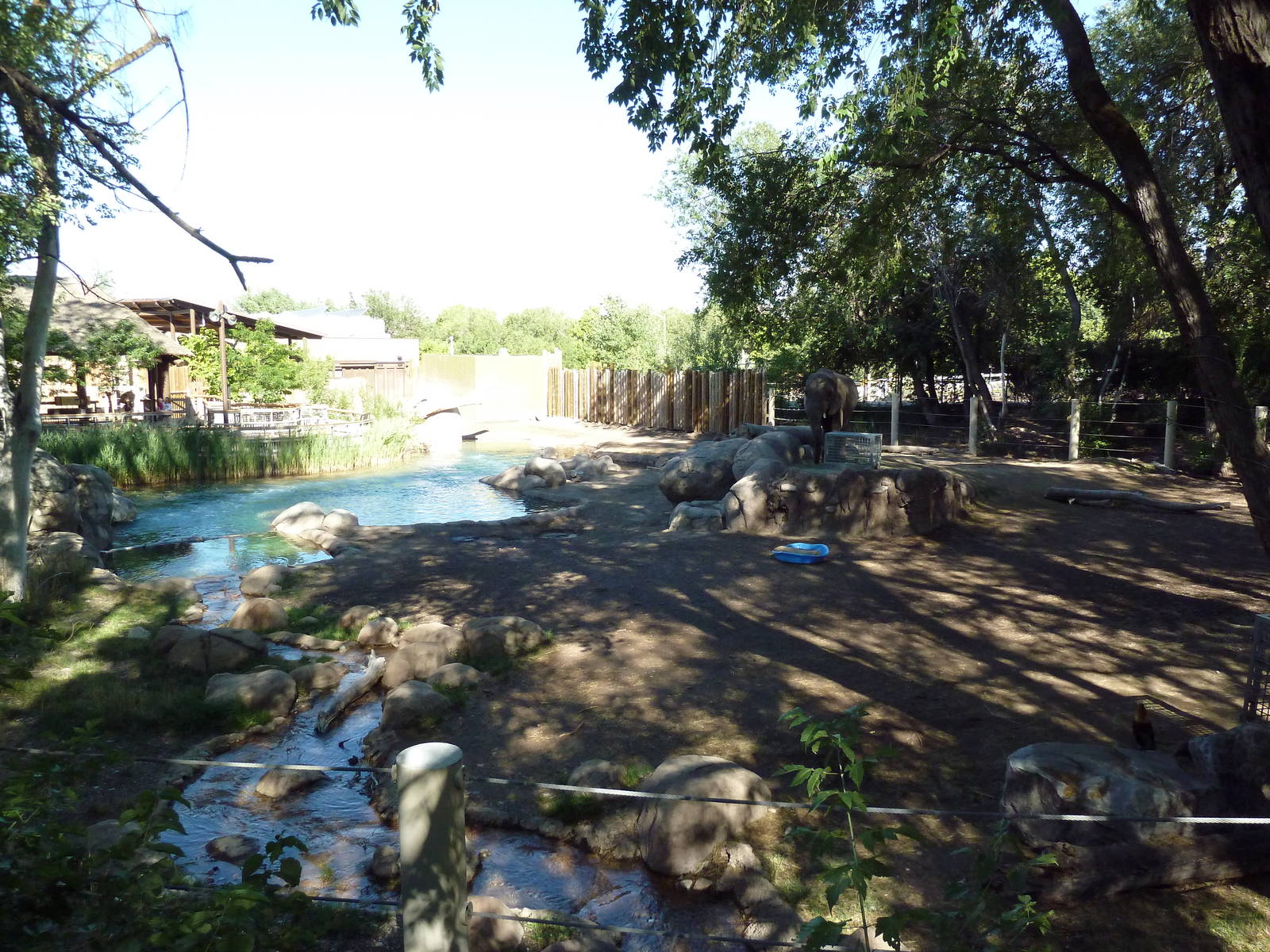 African Elephant Exhibit