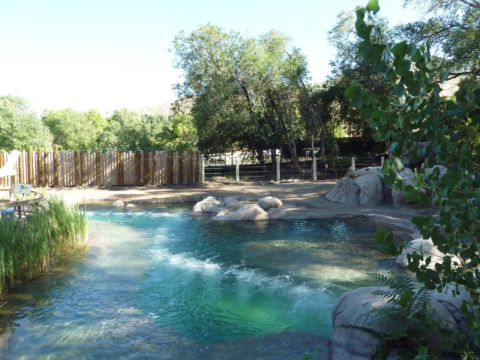 African Elephant Exhibit