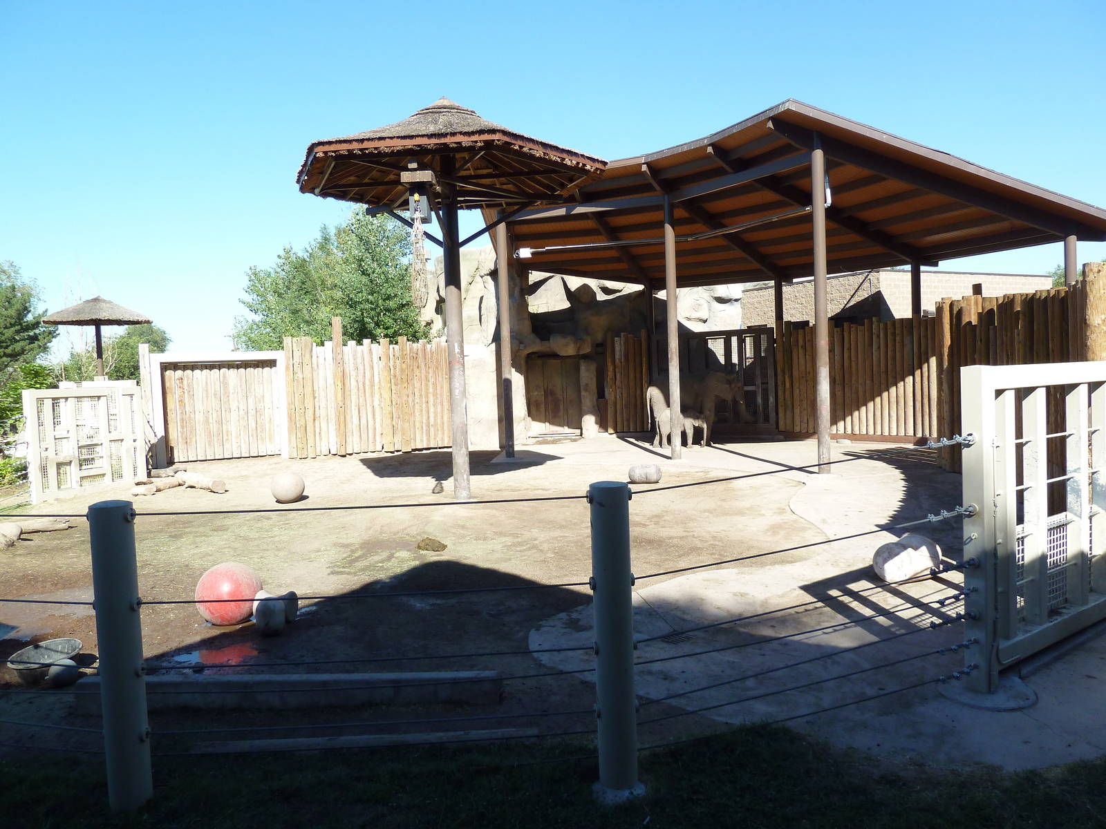 African Elephant Exhibit