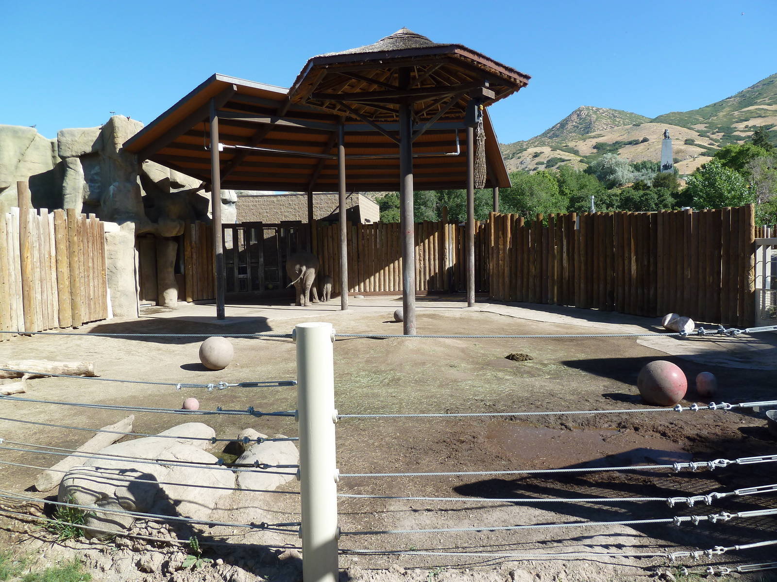 African Elephant Exhibit