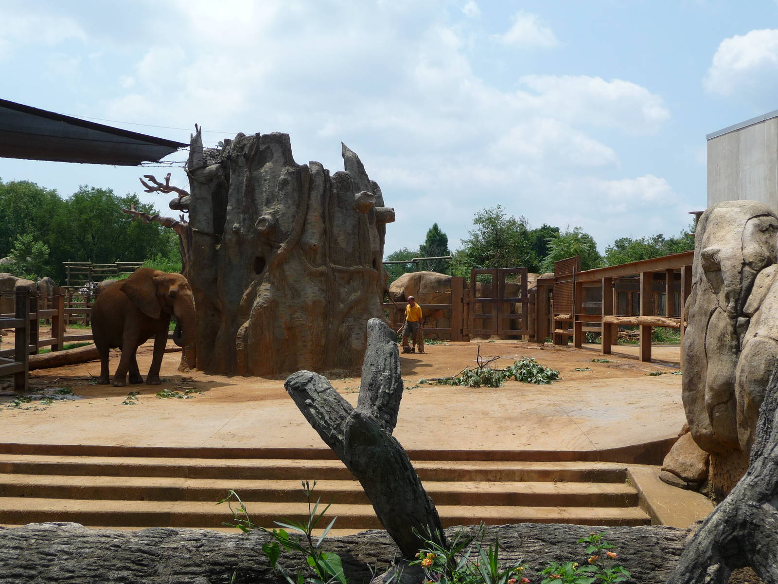 African Elephant Exhibit